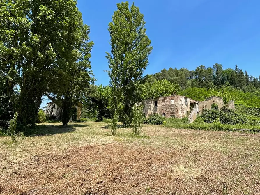 Immagine 34 di Casa colonica in vendita  a San Miniato