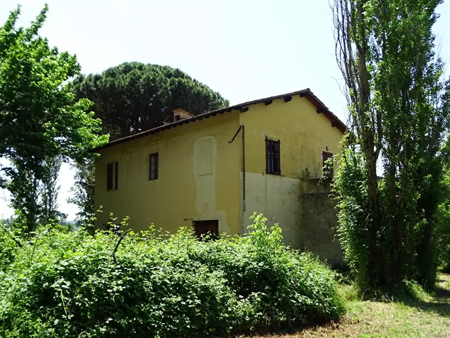 Immagine 6 di Casa colonica in vendita  a San Miniato