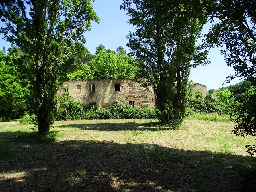 Immagine 3 di Casa colonica in vendita  a San Miniato