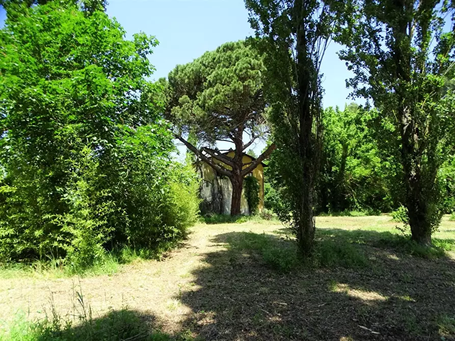 Immagine 2 di Casa colonica in vendita  a San Miniato