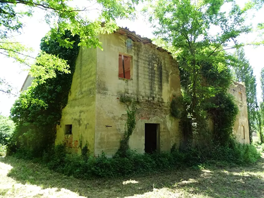 Immagine 22 di Casa colonica in vendita  a San Miniato