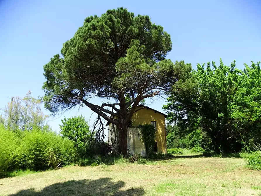Immagine 4 di Casa colonica in vendita  a San Miniato