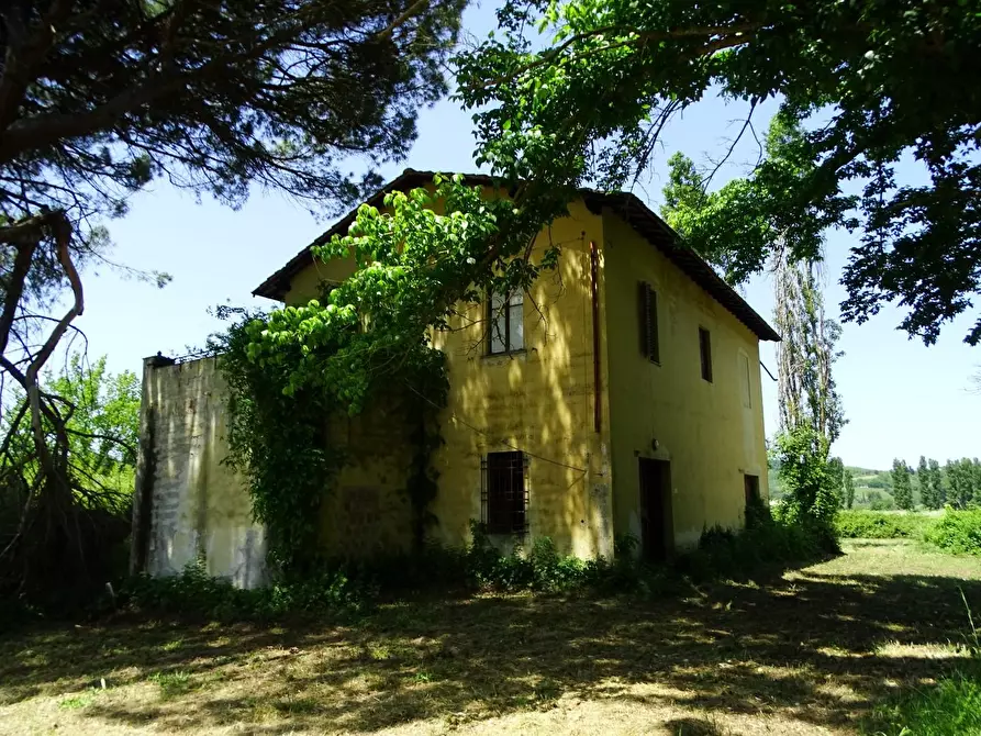 Immagine 5 di Casa colonica in vendita  a San Miniato