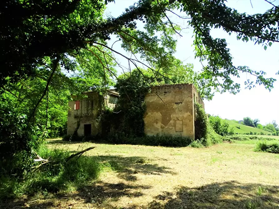 Immagine 21 di Casa colonica in vendita  a San Miniato