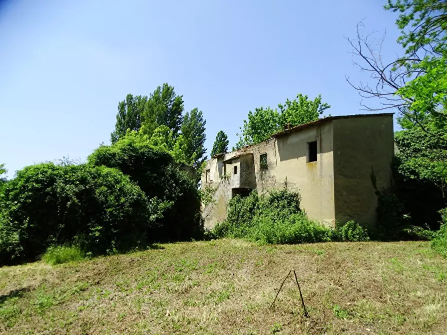Immagine 24 di Casa colonica in vendita  a San Miniato