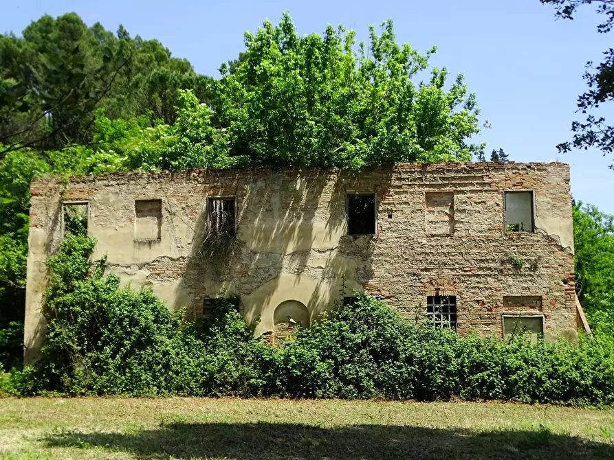 Immagine 30 di Casa colonica in vendita  a San Miniato