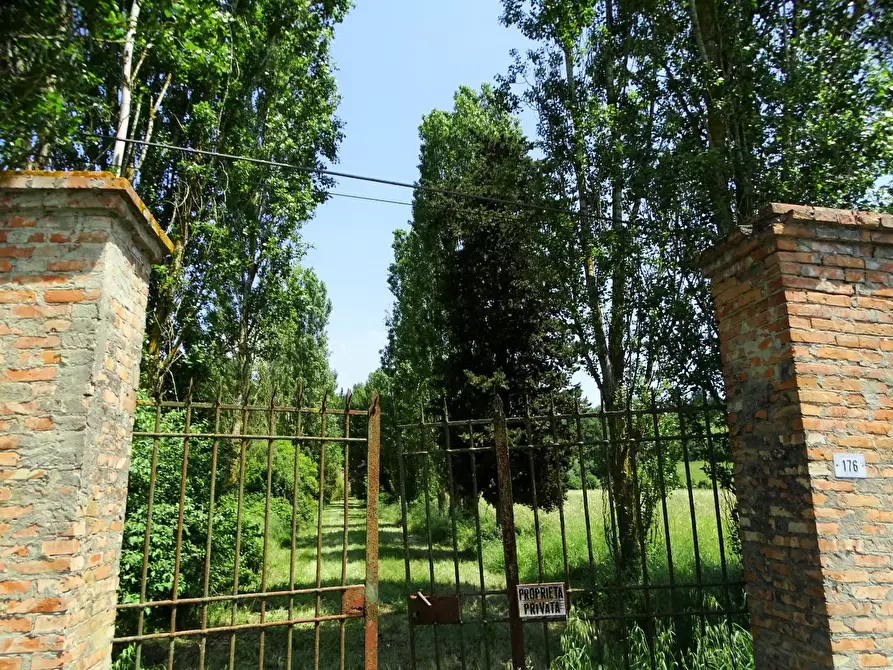 Immagine 32 di Casa colonica in vendita  a San Miniato