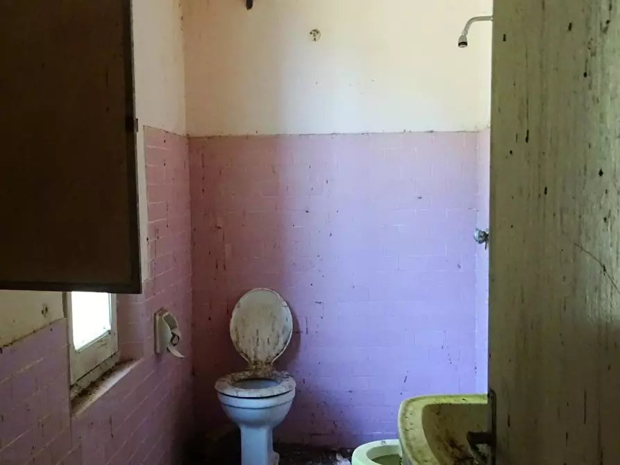 Immagine 13 di Casa colonica in vendita  a San Miniato