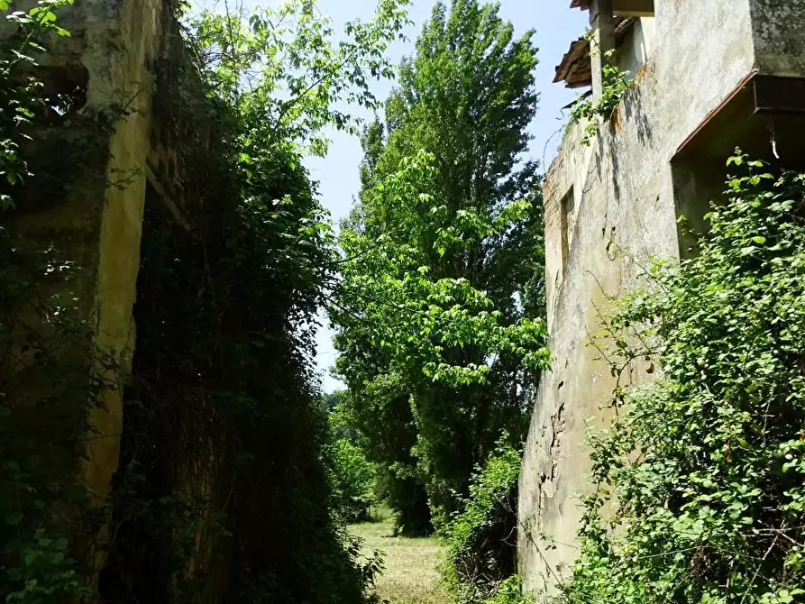 Immagine 25 di Casa colonica in vendita  a San Miniato