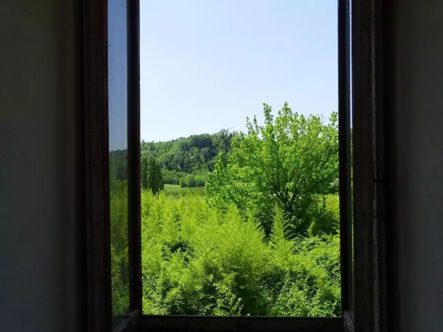 Immagine 16 di Casa colonica in vendita  a San Miniato