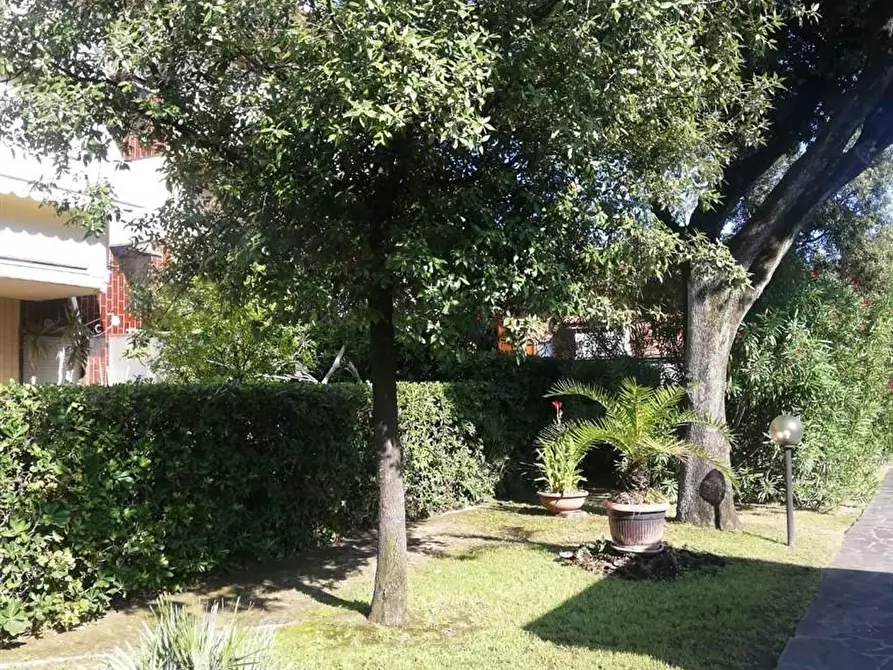 Immagine 28 di Appartamento in vendita  a Massa