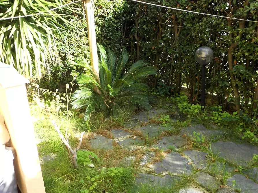 Immagine 6 di Appartamento in vendita  a Massa