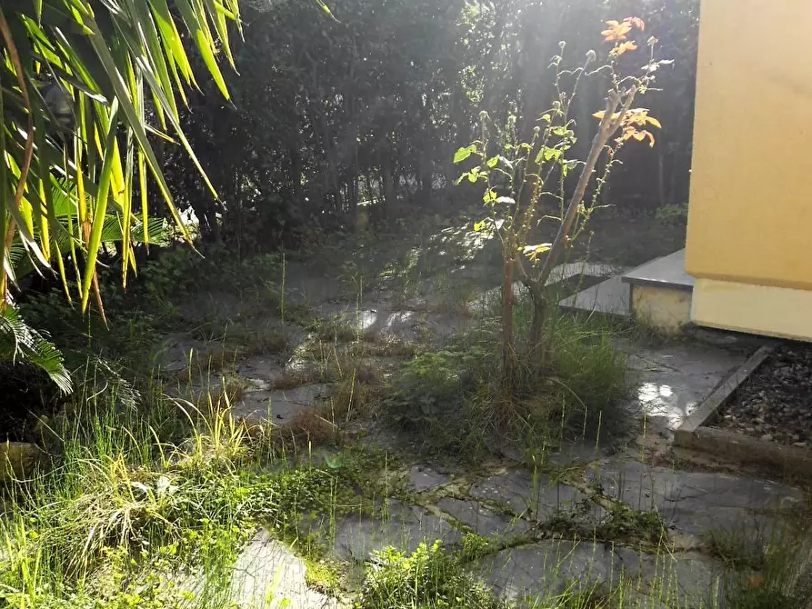 Immagine 2 di Appartamento in vendita  a Massa