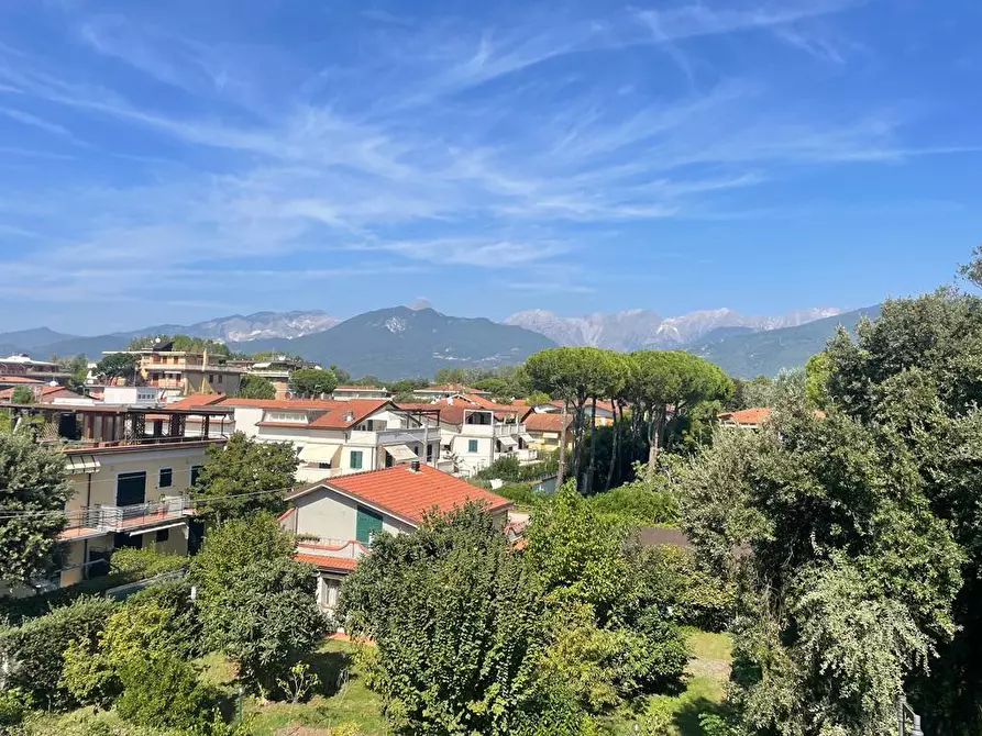 Immagine 4 di Appartamento in vendita  a Massa