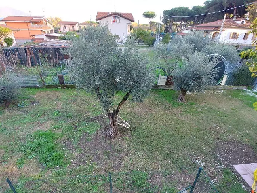 Immagine 8 di Casa semindipendente in vendita  a Massa