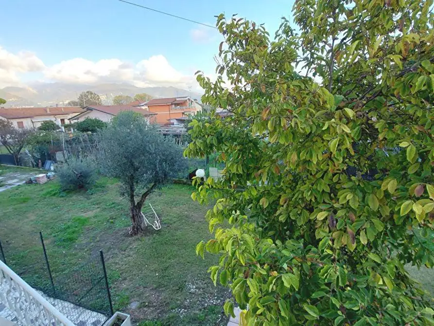 Immagine 7 di Casa semindipendente in vendita  a Massa