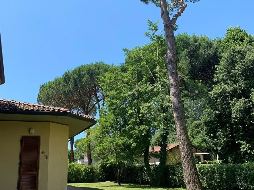 Immagine 19 di Villa in vendita  a Massa
