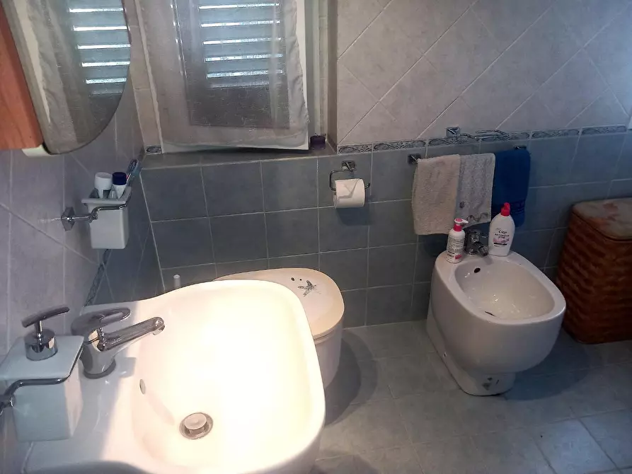 Immagine 36 di Appartamento in vendita  a Rosignano Marittimo