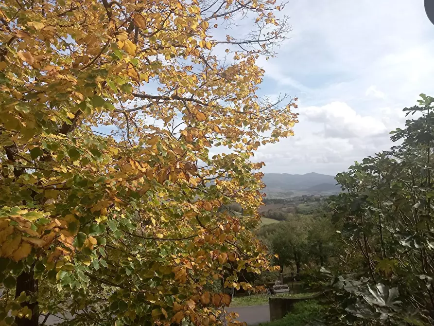 Immagine 38 di Appartamento in vendita  a Rosignano Marittimo