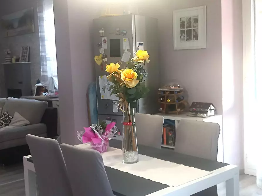 Immagine 24 di Appartamento in vendita  a Rosignano Marittimo