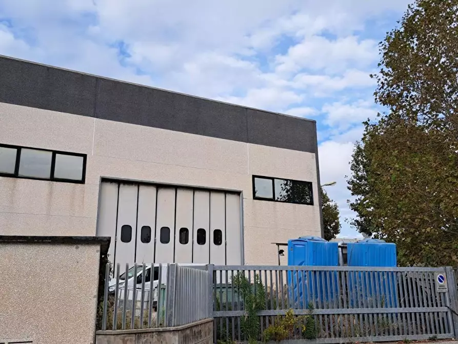 Immagine 3 di Capannone industriale in vendita  a Rosignano Marittimo