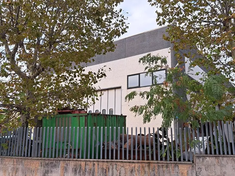 Immagine 5 di Capannone industriale in vendita  a Rosignano Marittimo