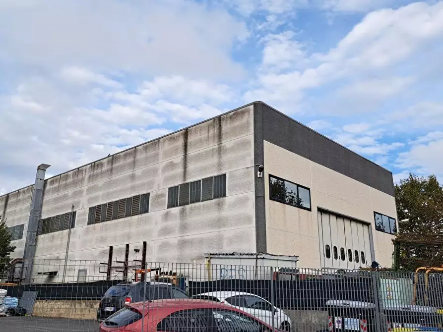 Immagine 2 di Capannone industriale in vendita  a Rosignano Marittimo