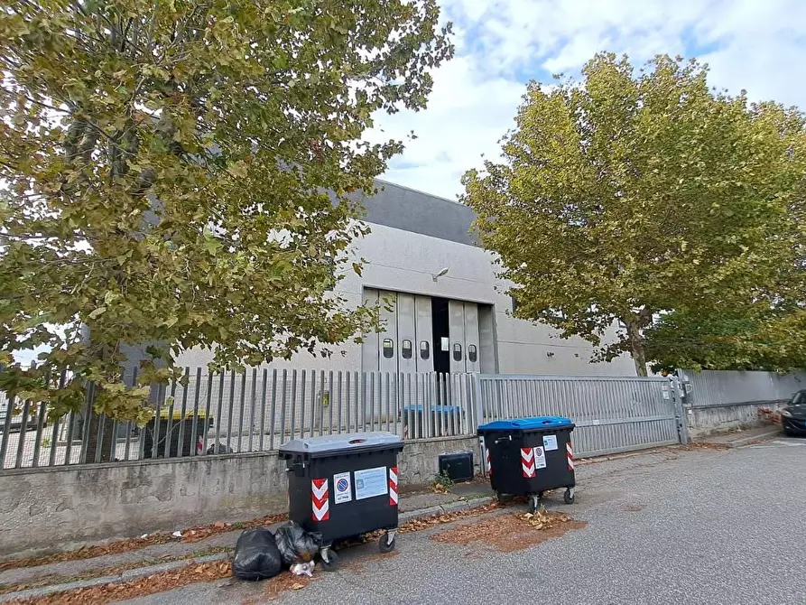 Immagine 6 di Capannone industriale in vendita  a Rosignano Marittimo