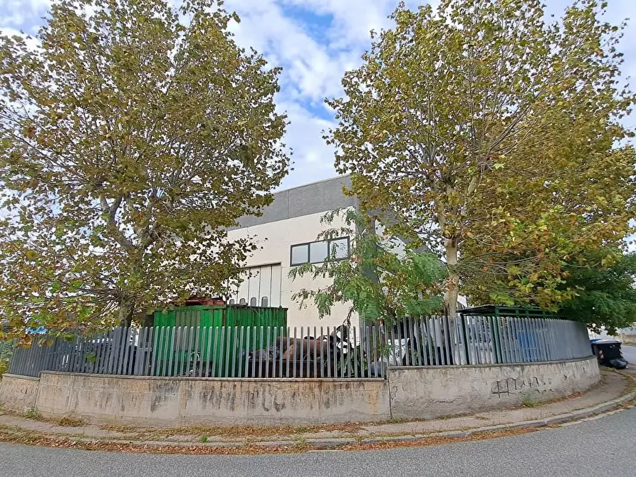 Immagine 4 di Capannone industriale in vendita  a Rosignano Marittimo