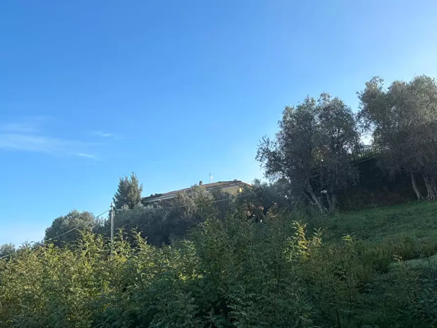 Immagine 5 di Terreno residenziale in vendita  a Lajatico