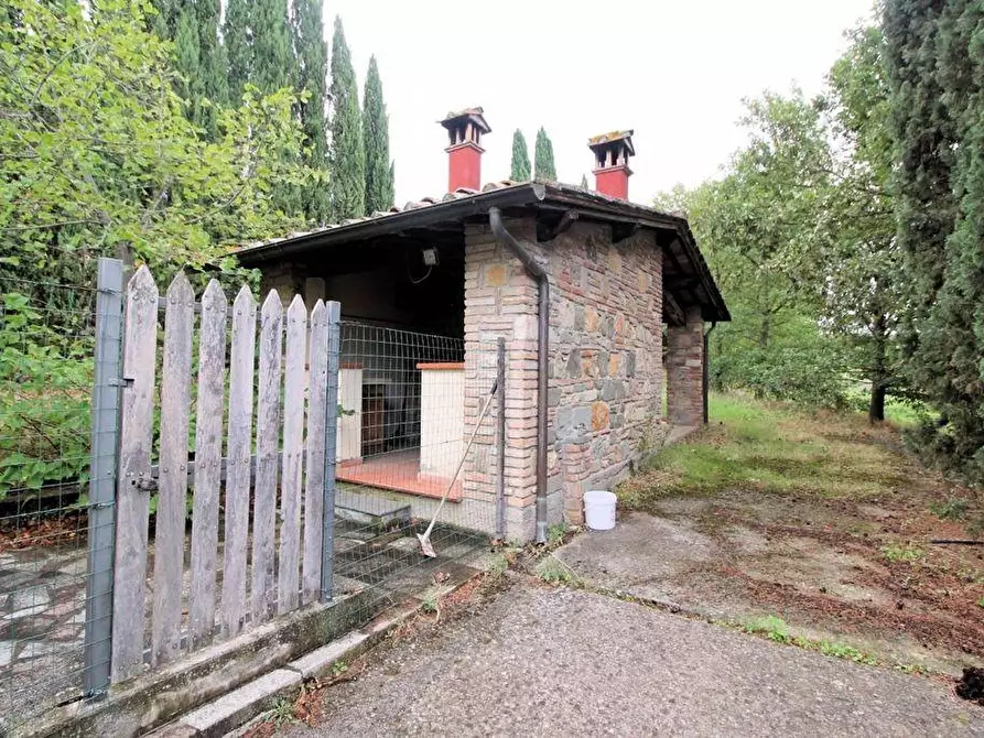 Immagine 13 di Casa colonica in vendita  a Terricciola