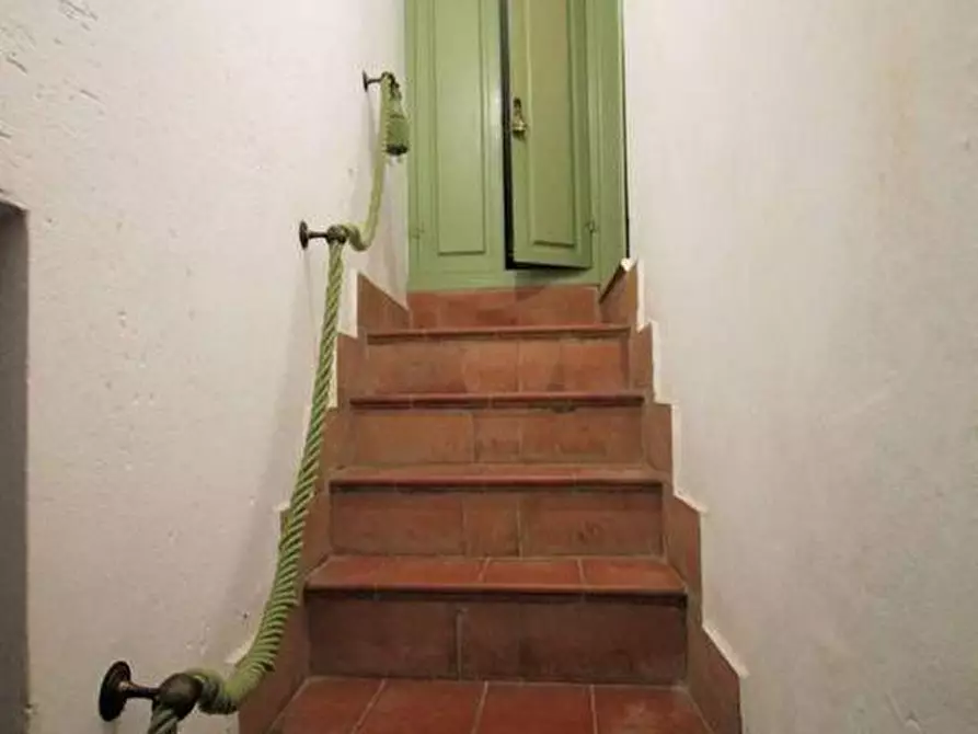 Immagine 15 di Casa colonica in vendita  a Terricciola