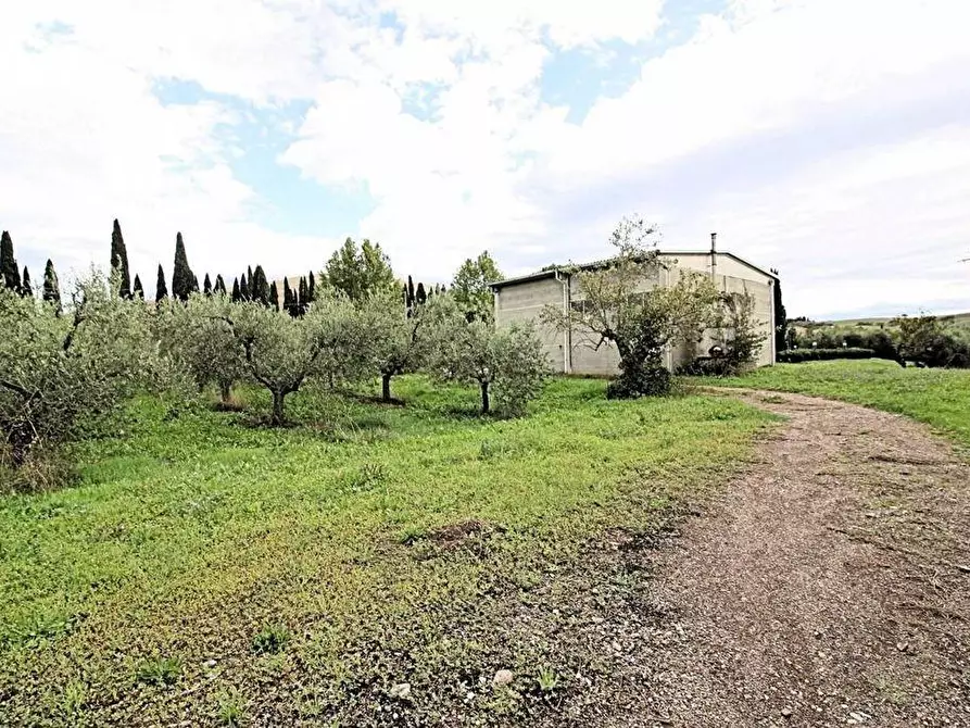 Immagine 20 di Casa colonica in vendita  a Terricciola