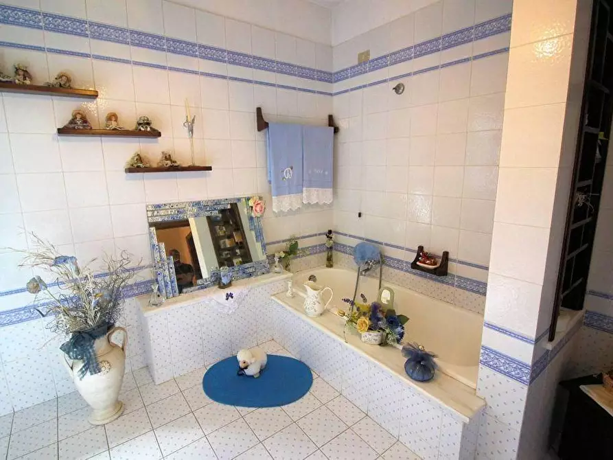 Immagine 11 di Casa colonica in vendita  a Terricciola