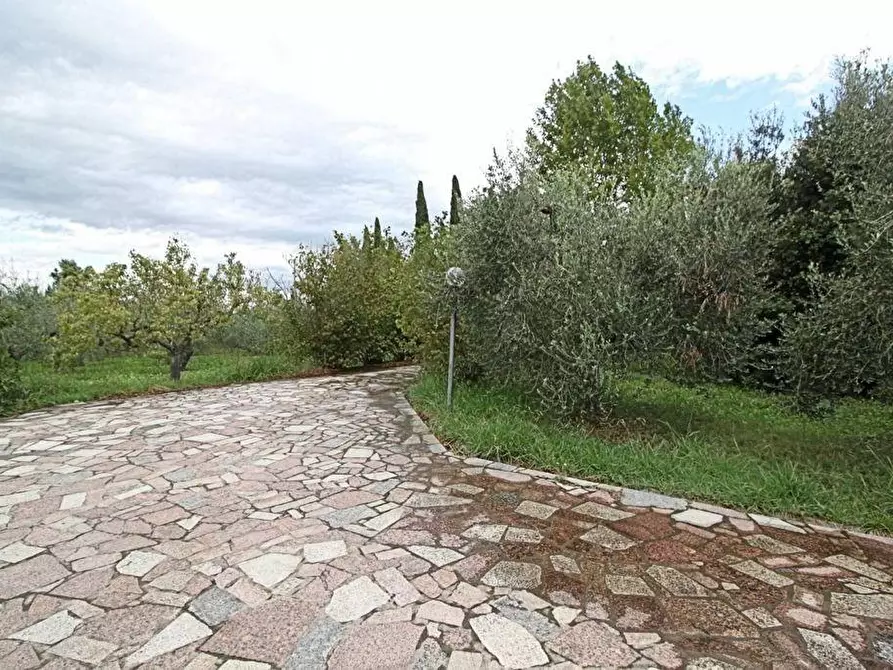 Immagine 12 di Casa colonica in vendita  a Terricciola