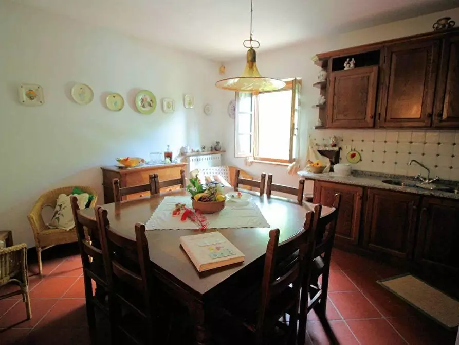 Immagine 4 di Casa colonica in vendita  a Terricciola