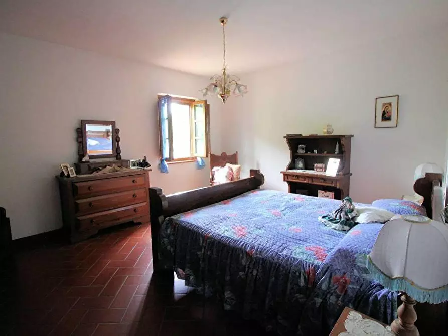 Immagine 7 di Casa colonica in vendita  a Terricciola