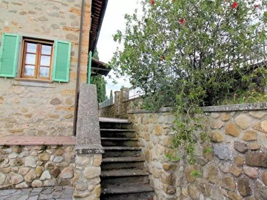 Immagine 6 di Casa colonica in vendita  a Terricciola