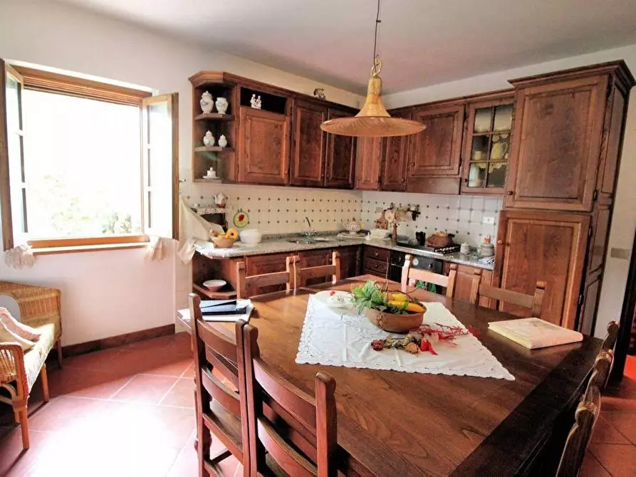 Immagine 3 di Casa colonica in vendita  a Terricciola