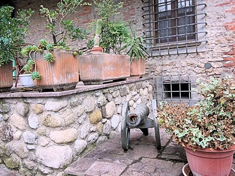 Immagine 18 di Casa colonica in vendita  a Terricciola