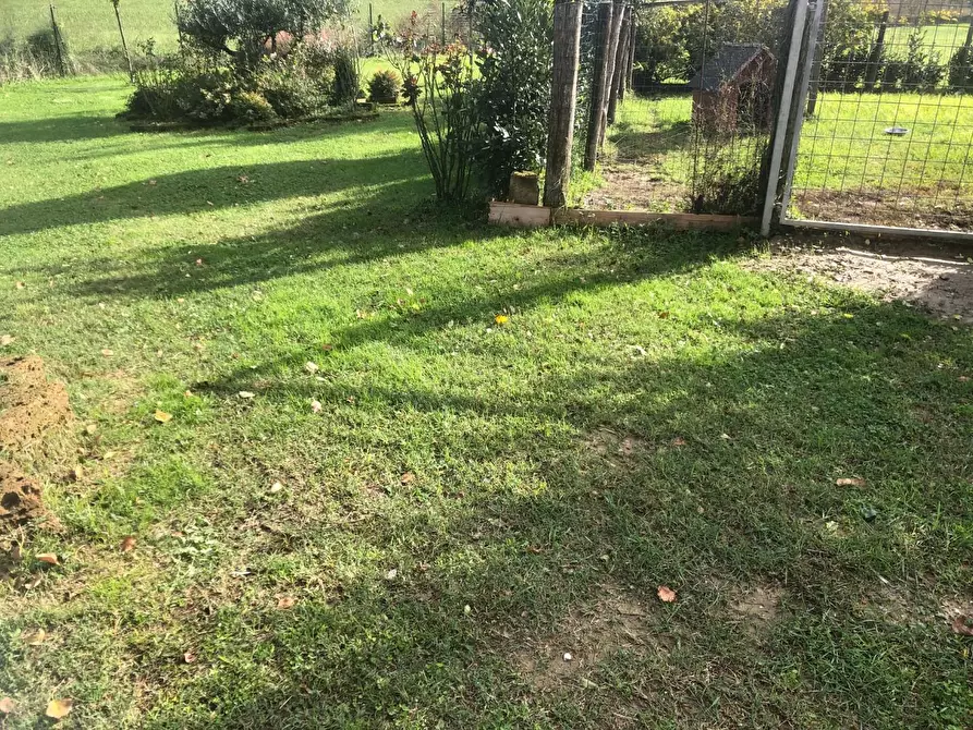 Immagine 19 di Casa indipendente in vendita  a San Miniato