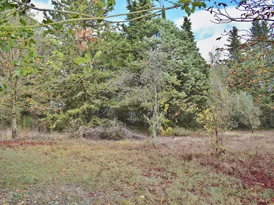 Immagine 15 di Villa in vendita  a San Gimignano