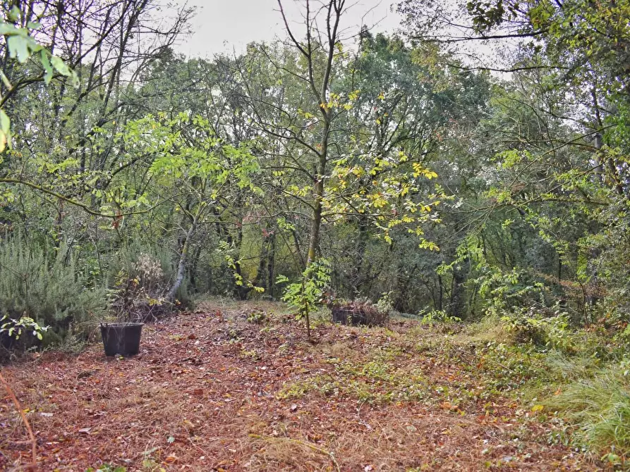 Immagine 16 di Villa in vendita  a San Gimignano