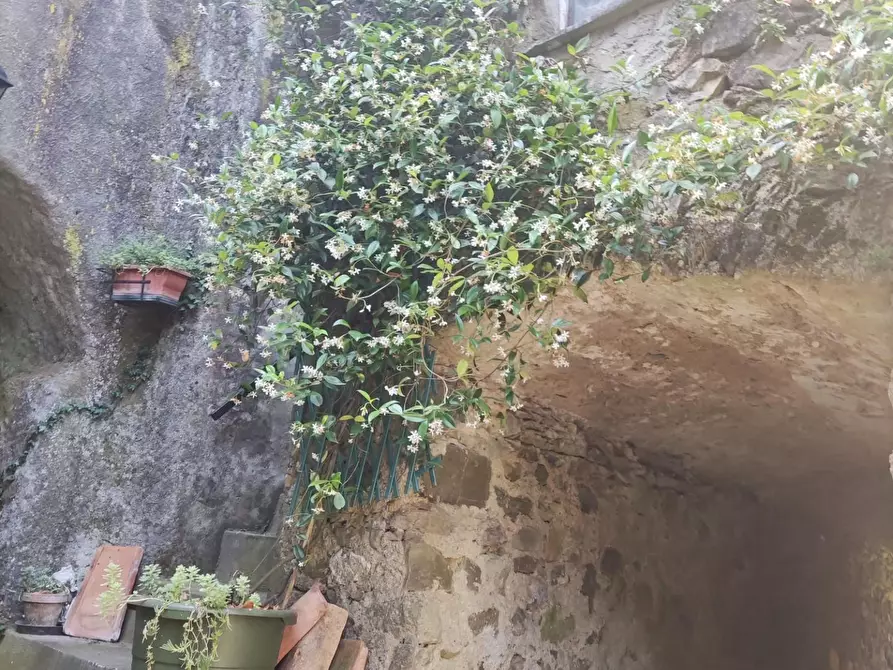 Immagine 15 di Casa semindipendente in vendita  a Tresana