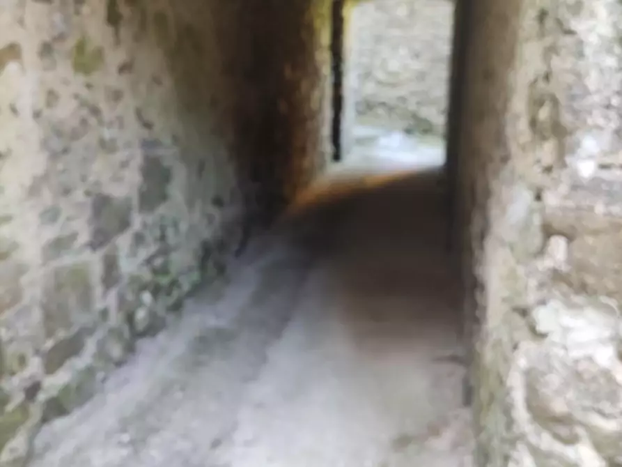 Immagine 16 di Casa semindipendente in vendita  a Tresana