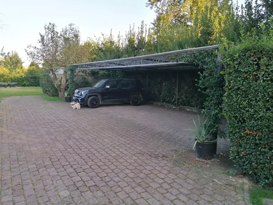 Immagine 3 di Rustico / casale in vendita  a Lucca