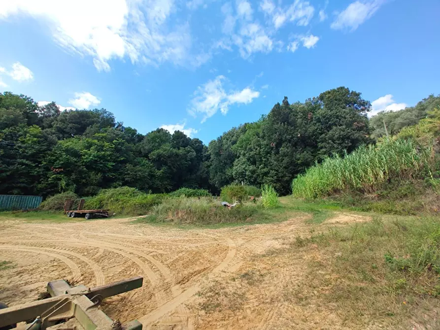 Immagine 21 di Casa colonica in vendita  a Casciana Terme Lari