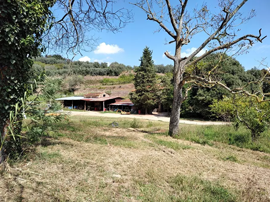 Immagine 20 di Casa colonica in vendita  a Casciana Terme Lari
