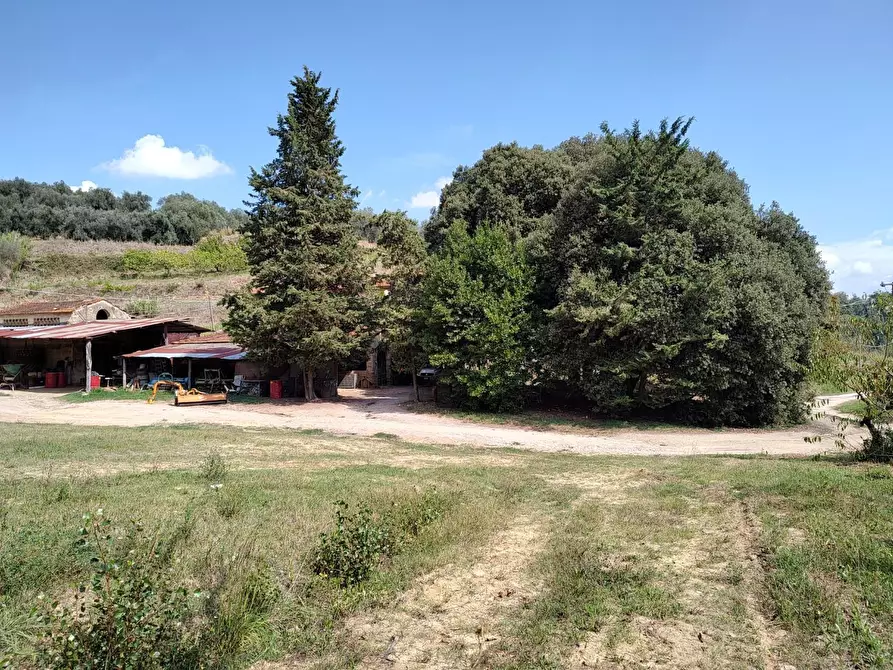 Immagine 23 di Casa colonica in vendita  a Casciana Terme Lari