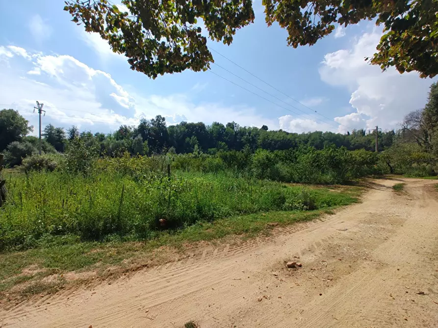 Immagine 22 di Casa colonica in vendita  a Casciana Terme Lari